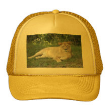 Barbary Lion-set-1-009 Mesh Kepsar