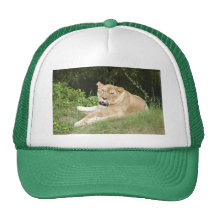 Barbary Lion-set-1-012 Trucker Keps