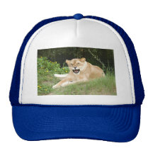 Barbary Lion-set-1-013 Mesh Kepsar