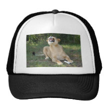 Barbary Lion-toy-004 Baseball Hat