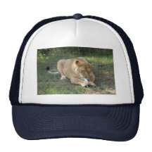 Barbary Lion-toy-005 Trucker Kepsar