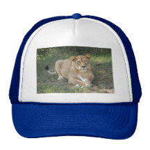 Barbary Lion-toy-007 Mesh Kepsar