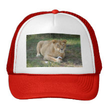 Barbary Lion-toy-009 Trucker Keps