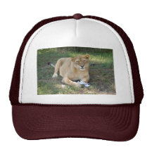 Barbary Lion-toy-010 Kepsar