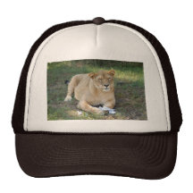 Barbary Lion-toy-011 Kepsar