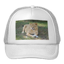 Barbary Lion-toy-012 Keps