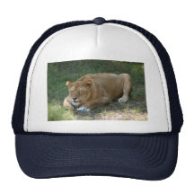Barbary Lion-toy-016 Trucker Keps