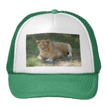 Barbary Lion-toy-017 Mesh Kepsar