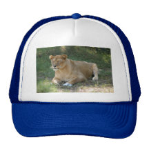 Barbary Lion-toy-018 Baseball Hat