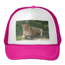 Barbary Lion-toy-019 Kepsar