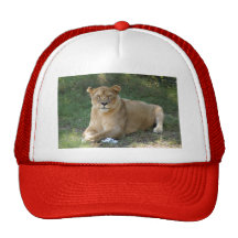 Barbary Lion-toy-020 Mesh Kepsar