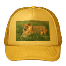 Barbary Lion-toy-025 Trucker Kepsar