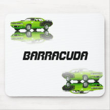 Barracuda Mus Mattor
