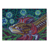 Barton Springs Salamander (den Eurycea sosorumen) kort