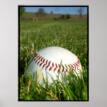 Baseballaffisch