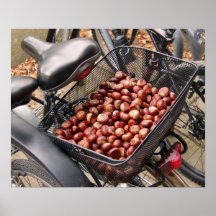 Basket av nöt print