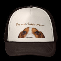 Bassethund som in kikar kepsar