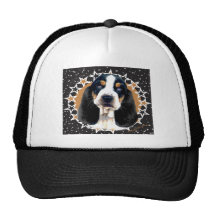 Bassethunden cirklar av stjärnor kepsar