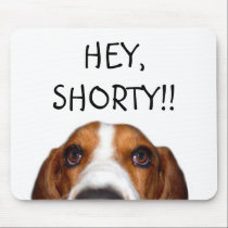 Bassethunden kikar in! musmattor
