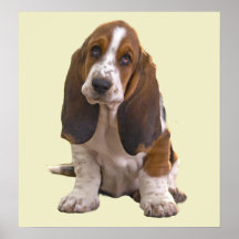 Bassethundtryck Print