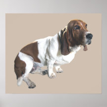Bassethundtryck Print