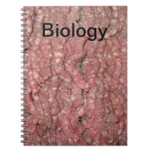 Bäst biologi klassificerar anteckningsboken någons
