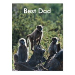 Bäst pappa vykort