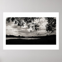 Batiquitos lagunSilhouettes Print