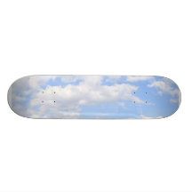 BC_Sky_skateboard-02