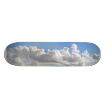BC_Sky_skateboard-03