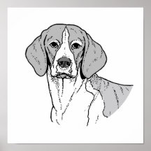 BEAGLEN POSTERS