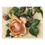 *Beautiful vintage Roses* Inbjudningar