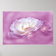 Beauty in the Mist - pink Posters
