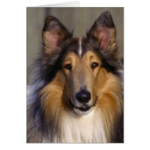 Bedårande hundfotokort, gåvor - skräddarsy
