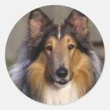 Bedårande hundfotokort, gåvor - skräddarsy klistermärken