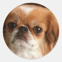 Bedårande hundfotokort, gåvor - skräddarsy runda klistermärken