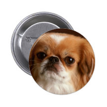 Bedårande hundfotokort, gåvor - skräddarsy knapp