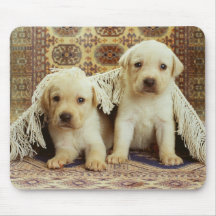 Bedårande hundfotokort, gåvor - skräddarsy musmatta