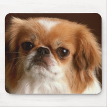 Bedårande hundfotokort, gåvor - skräddarsy musmatta