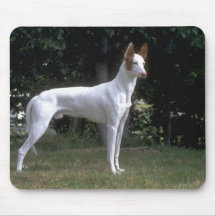 Bedårande hundfotokort, gåvor - skräddarsy musmattor