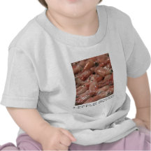 Begynna utslagsplatsskjorta för tioarmad bläckfisk t shirts