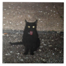 Belägga med tegel mommyen som katten "stad tänder  kakel