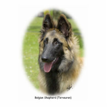 Belgisk herde (Terveuren) 9T85D-053 Photo Cut Out