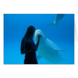 Beluga Freindship Hälsningskort
