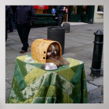 Bemanna i hunddräkt i London England tryckaffische