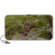 Bengal katt 003 notebook högtalarsystem