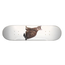 Bengal kattskateboard med den presenterade ursnygg
