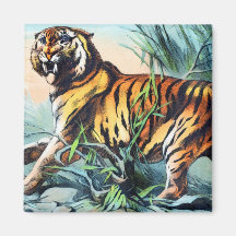 BENGAL TIGER MAGNETER