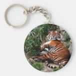 Bengal tiger nyckel ring