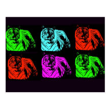 Bengal tigerCollage Vykort